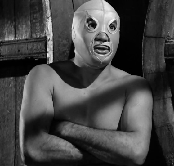 peliculas de luchadores